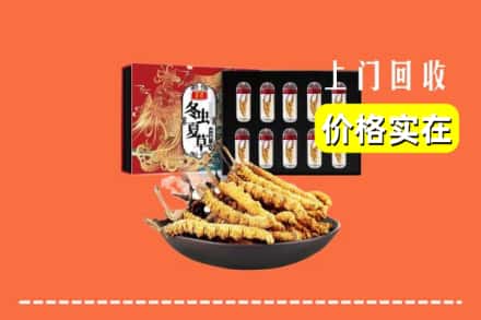 拉孜县回收冬虫夏草